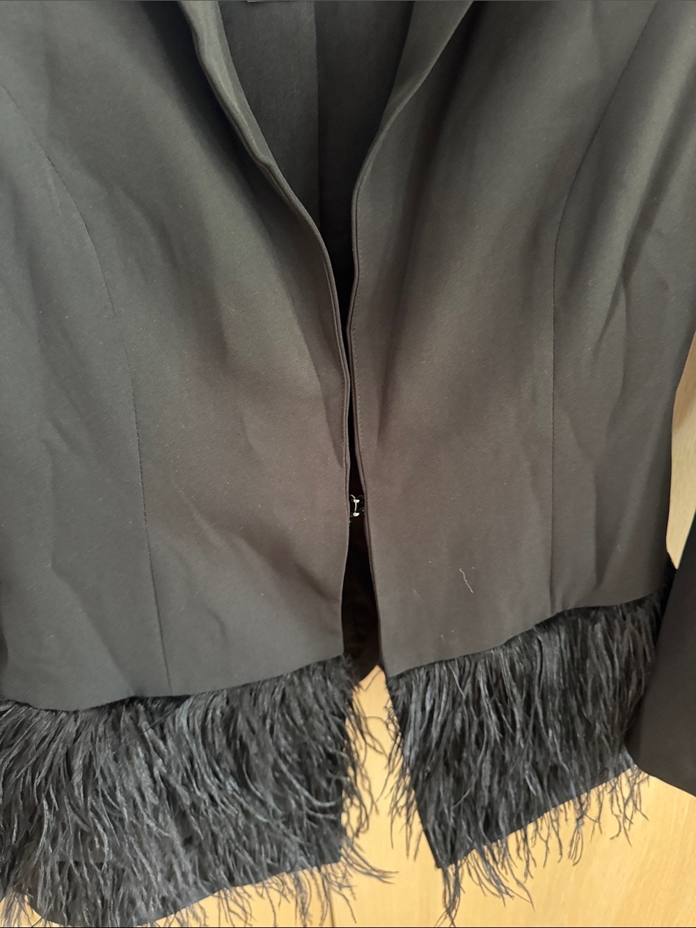 Lucy Paris Black Feather-Hem Tailored Blazer - Picture 4 of 5